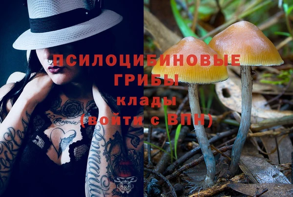гидропоника Алзамай