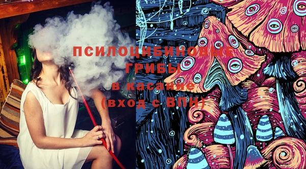 гидропоника Алзамай